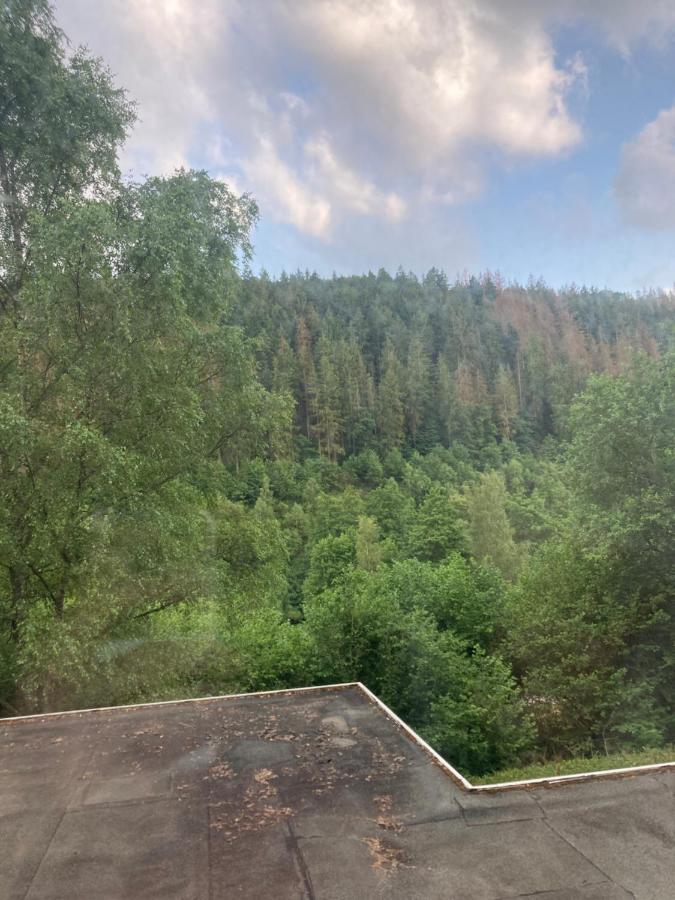 Ferienwohnung Waldblick Simmerath Exterior foto